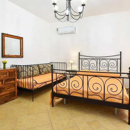 Pet Friendly In